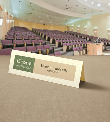 Avery Printable Large Tent Cards, 3.5